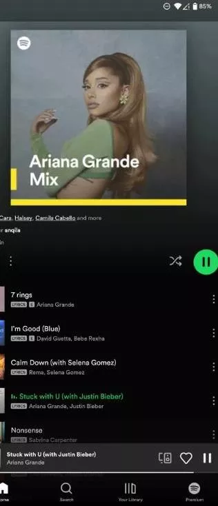 Spotify Premium 高级解锁版-南尧派博客